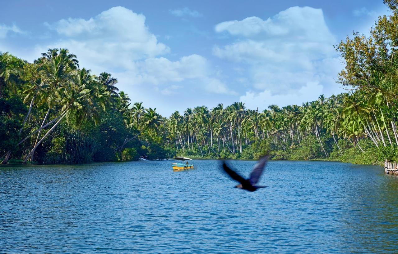 Estuary Sarovar Premiere Poovar Island Ngoại thất bức ảnh
